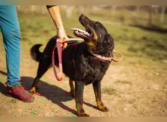 Aktiver Ares sucht seine aktiven Menschen