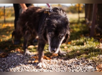 OldLady♥Srećka♥ hat Sehnsucht nach Liebe