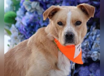 Kika & Max ❤️ gemeinsames Zuhause gesucht