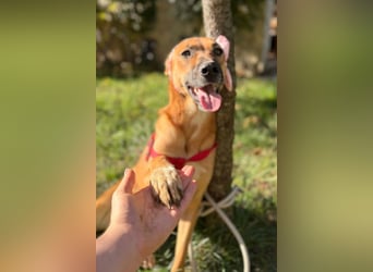 LISA❤️sanfte Seele sucht ihr Familienglück