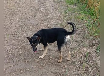 Otto ❤️ so freundlich und verträglich!