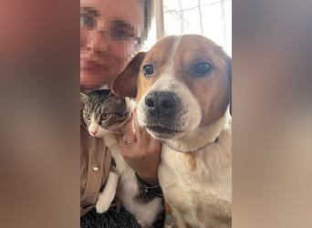 Sony ❤️ Familienhund mit großem Herzen