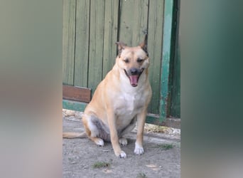 ♥Micka♥ liebt Menschen, Hunde & Katzen