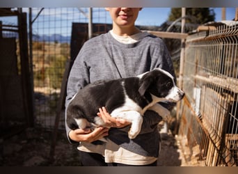 Kleine EMMY❤️ein zuckersüßes Energiebündel und voller Lebensfreude