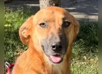 LISA❤️sanfte Seele sucht ihr Familienglück