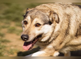 Schöne ♥Sibilla♥ sanft und freundlich