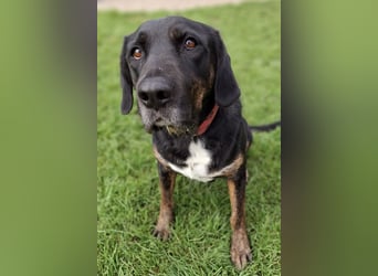 Leo ❤️ wartet in 84524 Neuötting auf dich