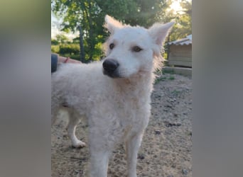 Sensible Jody ♥️ sucht Liebe & Verständnis