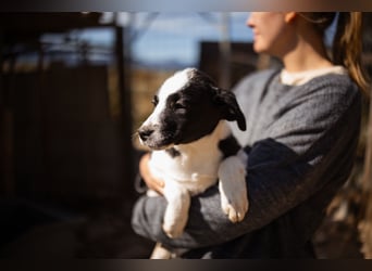 Kleine EMMY❤️ein zuckersüßes Energiebündel und voller Lebensfreude
