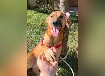LISA❤️sanfte Seele sucht ihr Familienglück