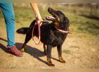 Aktiver Ares sucht seine aktiven Menschen