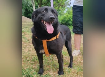 Lady Gara ♥️ freundlich, offen, verschmust