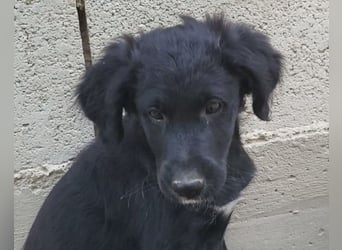 Mila ❤️ so süßes + lebensfrohes Mädchen!