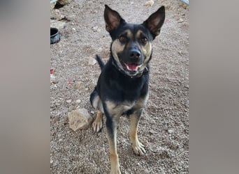 Otto ❤️ so freundlich und verträglich!