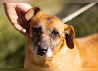 Liebste ♥Senka♥ mit einem großen Herzen