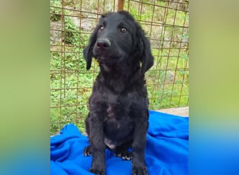 Yuki ❤️ froher, aufgeschlossener Bub!