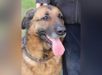 Einzelprinzessin Edna ❤️ sucht ihr Körbchen