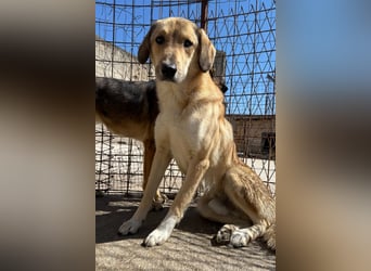 Klausi ❤️ sanft, sensibel + sucht Halt & Liebe