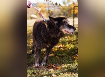 OldLady Srećka hat Sehnsucht nach Liebe