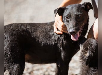 Hana - wundervolle, liebe Zuckerschnute mit einem kleinen Tick