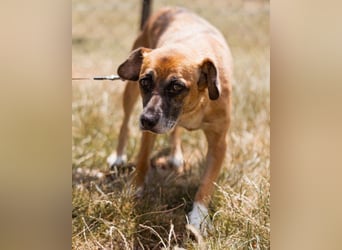 Liebste ♥Senka♥ mit einem großen Herzen