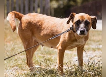 Liebe Senka mit einem großen Herzen