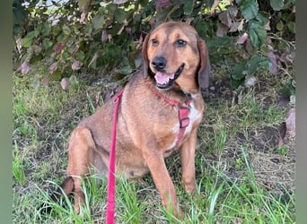 Reina in 01640 Coswig