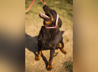 Aktiver Ares sucht seine aktiven Menschen