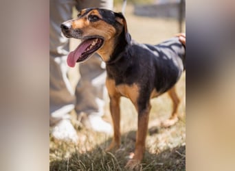 Jasco ❤️ neugierig, lebhaft & verspielt