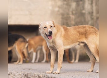 Bob wartet sehnsüchtig auf deine Anfrage