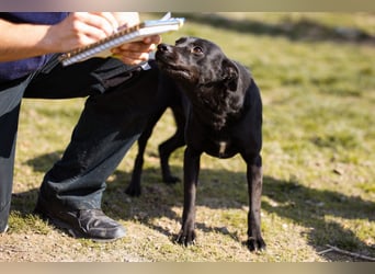 Coolio - wunderbar fröhlicher aktiver Bub