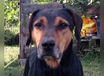 Jasco ❤️ neugierig, lebhaft & verspielt