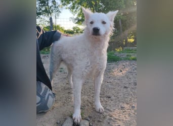 Sensible Jody ♥️ sucht Liebe & Verständnis