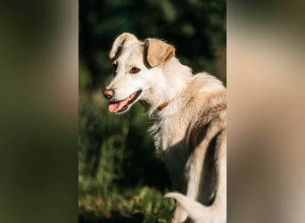 Ruhige Astrid sucht ihre Menschen