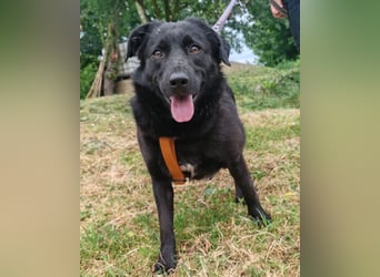 Lady Gara ♥️ freundlich, offen, verschmust