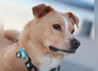 Kika & Max ❤️ gemeinsames Zuhause gesucht