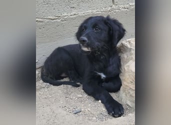 Mila ❤️ so süßes + lebensfrohes Mädchen!