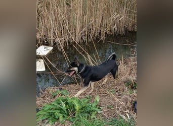 Otto ❤️ so freundlich und verträglich!