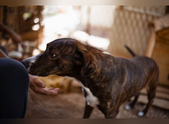 Lieber Baileys ❤️ hübscher, sensibler Bub!