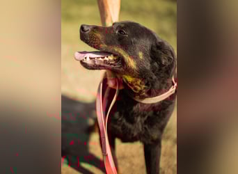 Aktiver Ares sucht seine aktiven Menschen