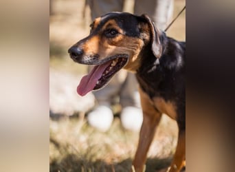 Jasco ❤️ neugierig, lebhaft & verspielt