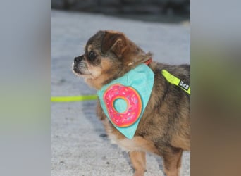 Kika & Max ❤️ gemeinsames Zuhause gesucht