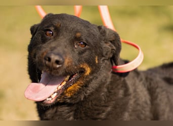 Aktiver Ares sucht seine aktiven Menschen