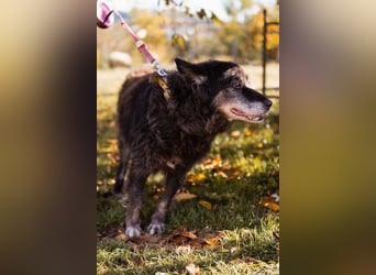 OldLady♥Srećka♥ hat Sehnsucht nach Liebe