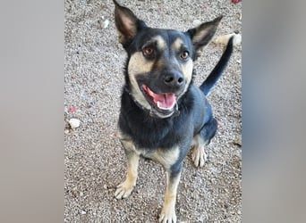 Otto ❤️ so freundlich und verträglich!