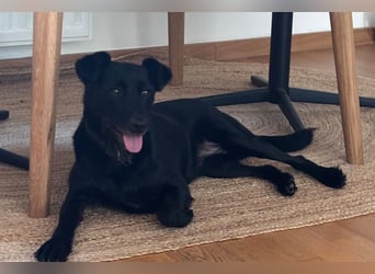 Ebony ❤️ wartet in 51469 Bergisch Gladbach auf dich