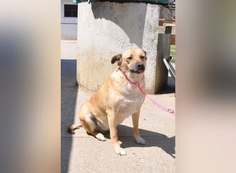 ♥Micka♥ liebt Menschen, Hunde & Katzen
