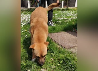 Teddy  wartet schon so lange!