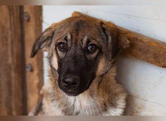 COCO❤️verspielt, sanft und voller Vertrauen: ein Herz für Groß und Klein!