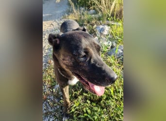 Goldige Godina | sozial,aktiv,lebensfroh 